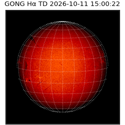 gong - 2026-10-11T15:00:22