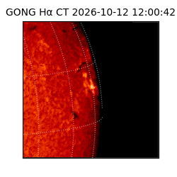 gong - 2026-10-12T12:00:42