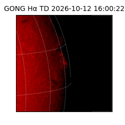 gong - 2026-10-12T16:00:22