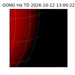 gong - 2026-10-12T13:00:22
