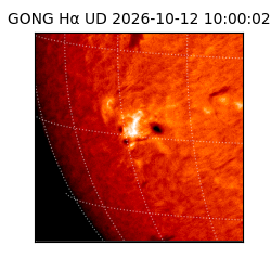 gong - 2026-10-12T10:00:02