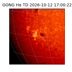 gong - 2026-10-12T17:00:22