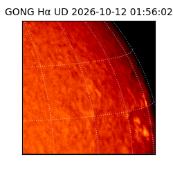 gong - 2026-10-12T01:56:02