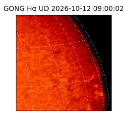 gong - 2026-10-12T09:00:02
