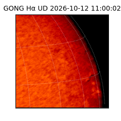 gong - 2026-10-12T11:00:02