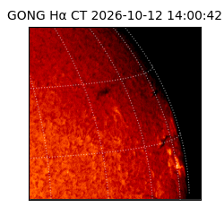 gong - 2026-10-12T14:00:42
