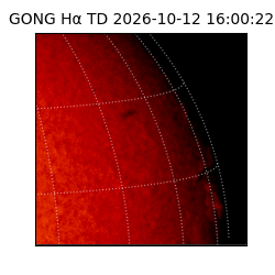 gong - 2026-10-12T16:00:22