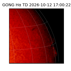 gong - 2026-10-12T17:00:22