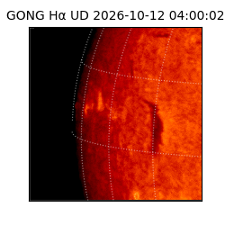 gong - 2026-10-12T04:00:02