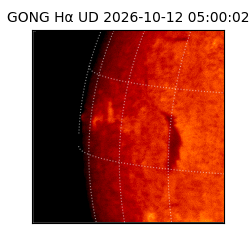 gong - 2026-10-12T05:00:02