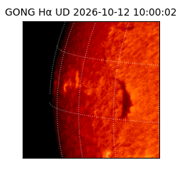 gong - 2026-10-12T10:00:02