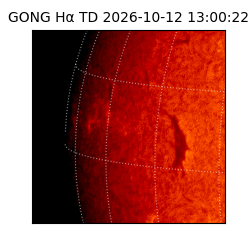 gong - 2026-10-12T13:00:22