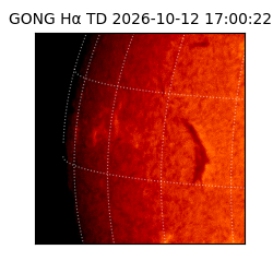gong - 2026-10-12T17:00:22
