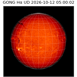 gong - 2026-10-12T05:00:02