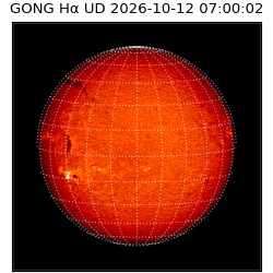 gong - 2026-10-12T07:00:02