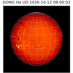 gong - 2026-10-12T08:00:02
