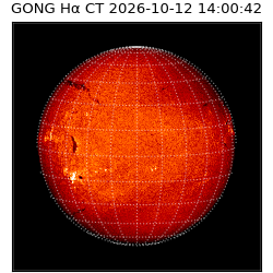 gong - 2026-10-12T14:00:42