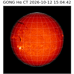 gong - 2026-10-12T15:04:42