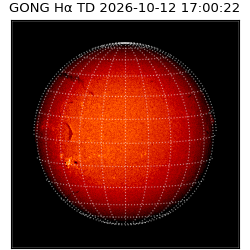 gong - 2026-10-12T17:00:22