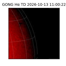 gong - 2026-10-13T11:00:22