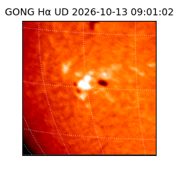 gong - 2026-10-13T09:01:02