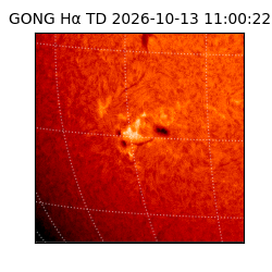 gong - 2026-10-13T11:00:22
