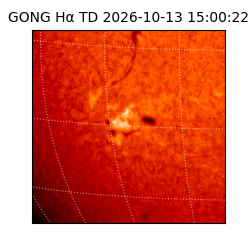 gong - 2026-10-13T15:00:22