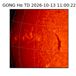 gong - 2026-10-13T11:00:22
