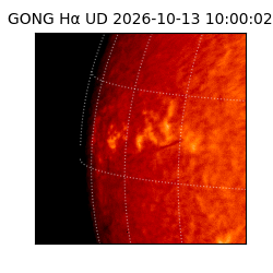gong - 2026-10-13T10:00:02
