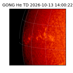gong - 2026-10-13T14:00:22