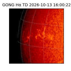 gong - 2026-10-13T16:00:22