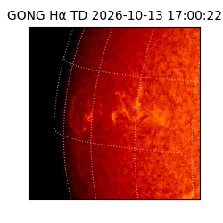 gong - 2026-10-13T17:00:22
