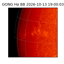 gong - 2026-10-13T19:00:03