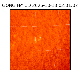 gong - 2026-10-13T02:01:02