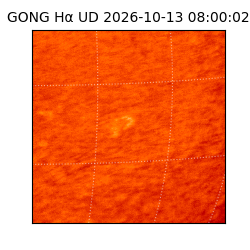gong - 2026-10-13T08:00:02
