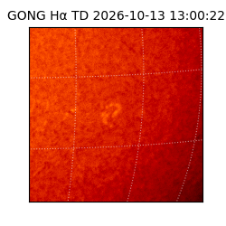 gong - 2026-10-13T13:00:22