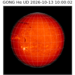 gong - 2026-10-13T10:00:02