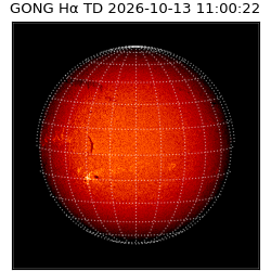 gong - 2026-10-13T11:00:22