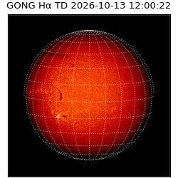 gong - 2026-10-13T12:00:22
