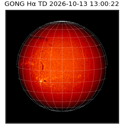gong - 2026-10-13T13:00:22