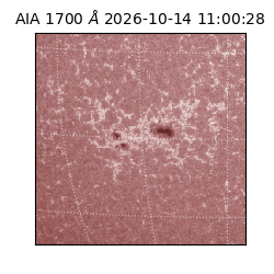 saia - 2026-10-14T11:00:28.716000