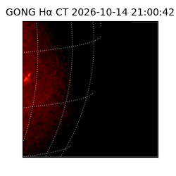 gong - 2026-10-14T21:00:42