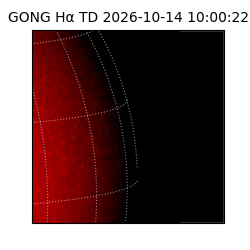 gong - 2026-10-14T10:00:22
