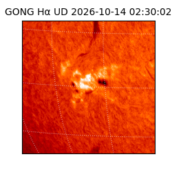 gong - 2026-10-14T02:30:02