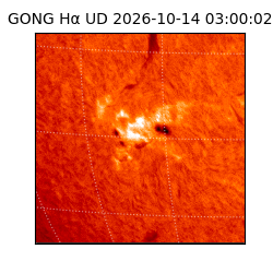 gong - 2026-10-14T03:00:02