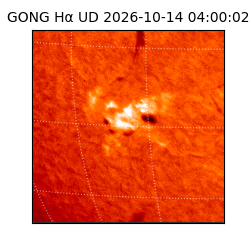 gong - 2026-10-14T04:00:02