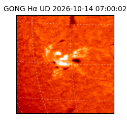 gong - 2026-10-14T07:00:02