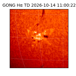 gong - 2026-10-14T11:00:22