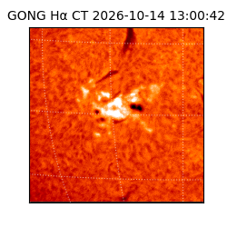 gong - 2026-10-14T13:00:42