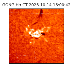 gong - 2026-10-14T16:00:42